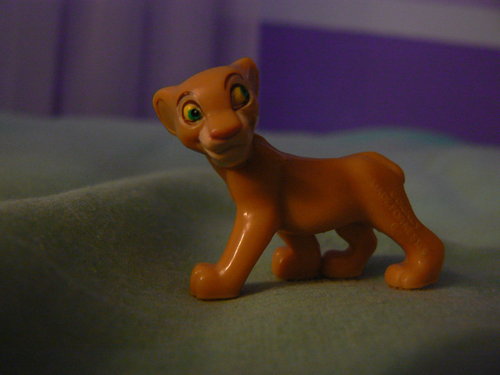 Lion King Pics 067.JPG