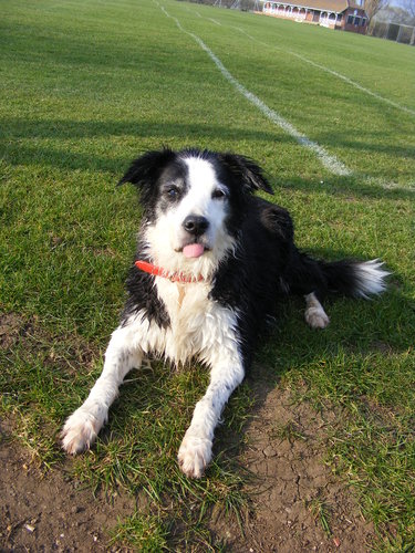 Annie 005.JPG