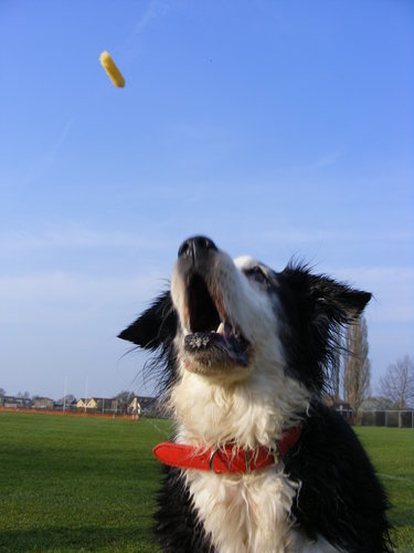 Annie 025.JPG