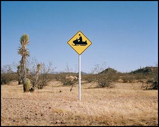 funny road sign 5.JPG