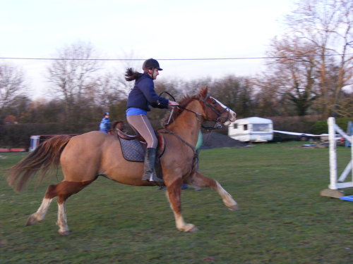 JumpingNeddy 111.JPG