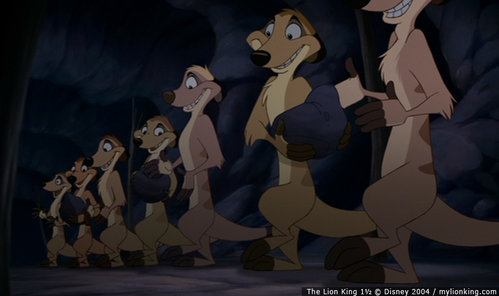 Longer nosed meerkats.jpg