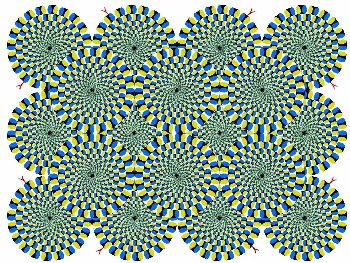 Optical Illusion 1.JPG
