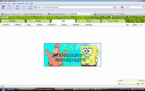 sbm2.jpeg