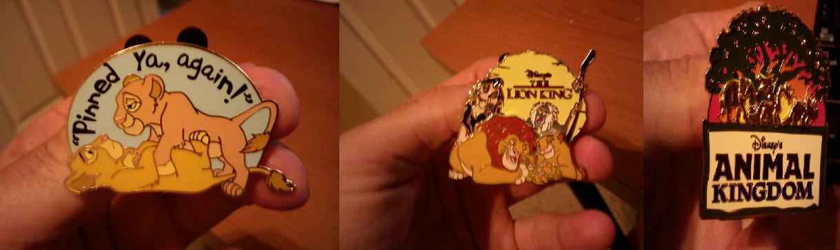 WDW pins.JPG