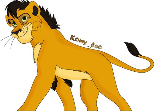 kony.jpg