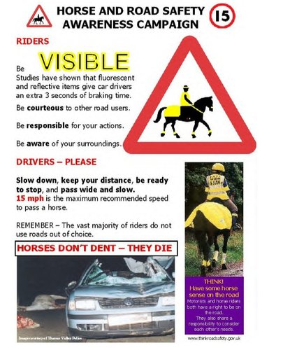 Horsess.jpg