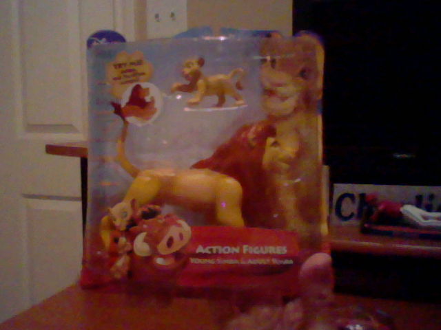 Adult Simba and Cub Simba.JPG