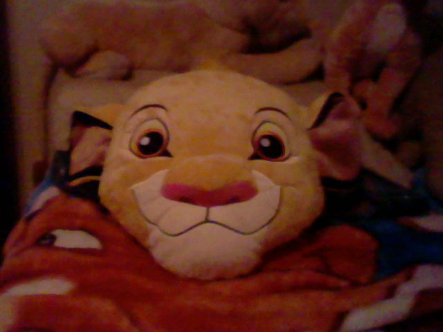 Simba plush pillow cousins.JPG