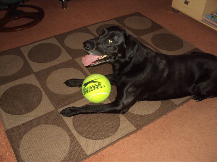 giant tennis ball.jpg