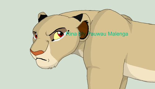 Imara, Malenga's rival MLK READY.jpg