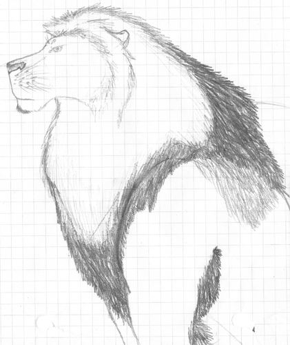 lion.png