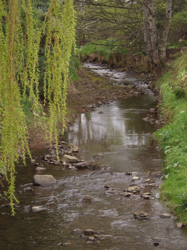 P1016323.JPG