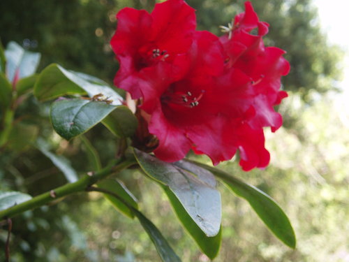 P1016443.JPG