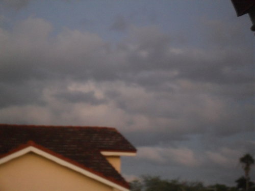 SDC16578.JPG