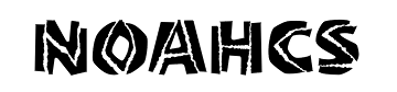 Noahcs.png
