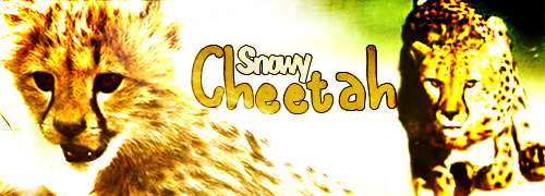 snowy.jpg