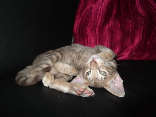 DSCF2078.JPG