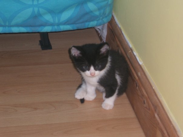 Fudge2.jpg