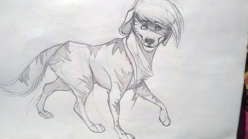 2012-02-14_14-26-19_424.jpg