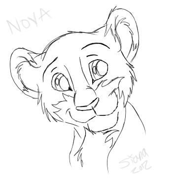 nova.png