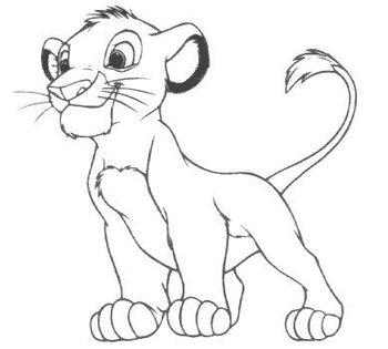 simba.jpg