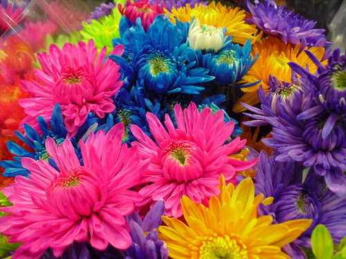 End of July 2012 006.JPG