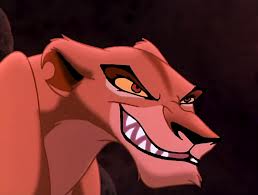 zira2.jpg