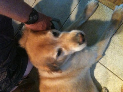 image.jpg