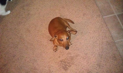 IMAG0598.jpg