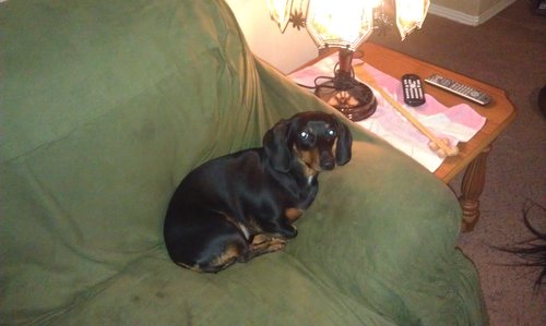 IMAG0596.jpg