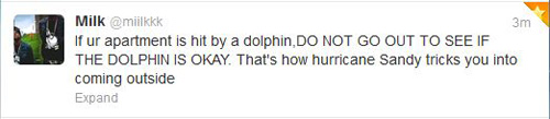 funny-hurricane-sandy-dolphin.jpg