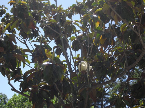 End of May 2012 048.JPG