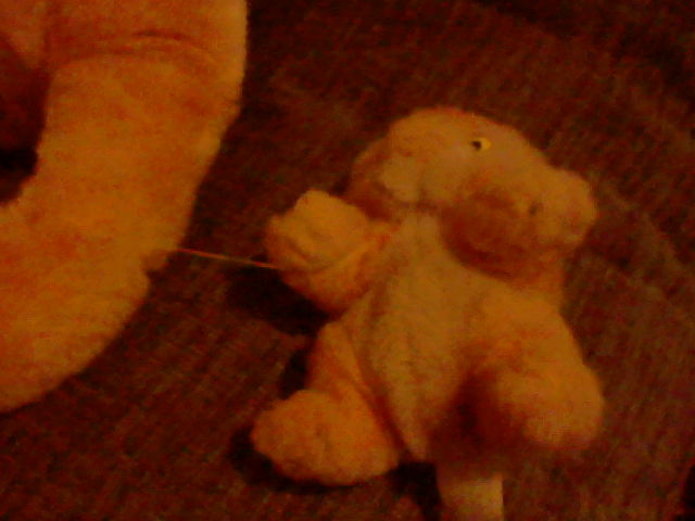 HNI_0035_MPO.JPG