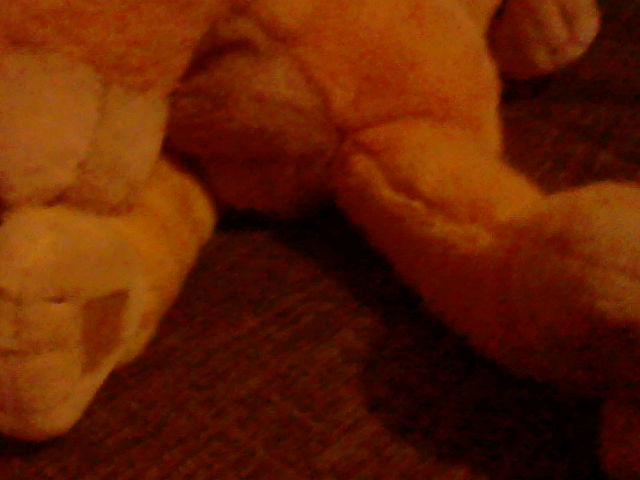 HNI_0036_MPO.JPG