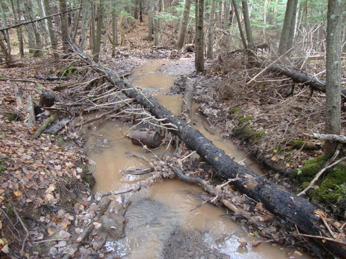 DSC02280.JPG