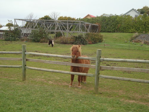 DSC02155.JPG