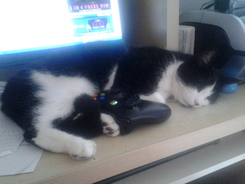 20130316_134221.jpg