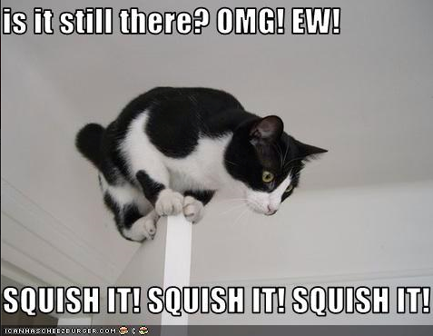 SQUISHIT.PNG