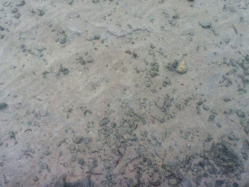 image.jpg (224.14 KiB) Viewed 2056 times image.jpg