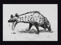 concept_hyena009.jpg