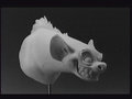 concept_hyena025.jpg