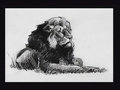 concept_mufasa000.jpg