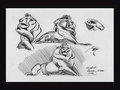 concept_mufasa007.jpg