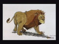 concept_mufasa019.jpg