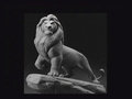 concept_mufasa026.jpg