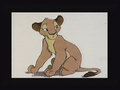 concept_nala002.jpg