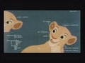 concept_nala005.jpg