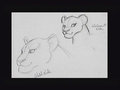 concept_nala006.jpg