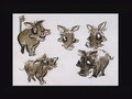 concept_pumbaa005.jpg